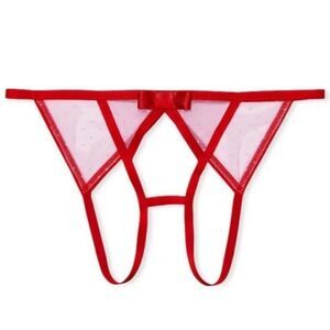 Victoria’s Secret Luxe Very Sexy Crotchless Cheekini Panty